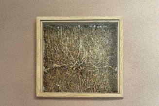 Wand mit Wirkung: Natürliche Baustoffe für ein gesundes Raumklima