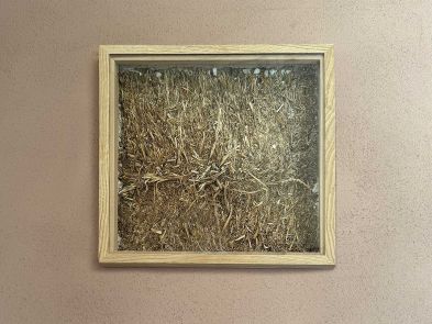 Wand mit Wirkung: Natürliche Baustoffe für ein gesundes Raumklima