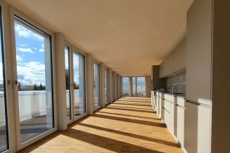 Attika-Wohnung und Büroräume zu vermieten